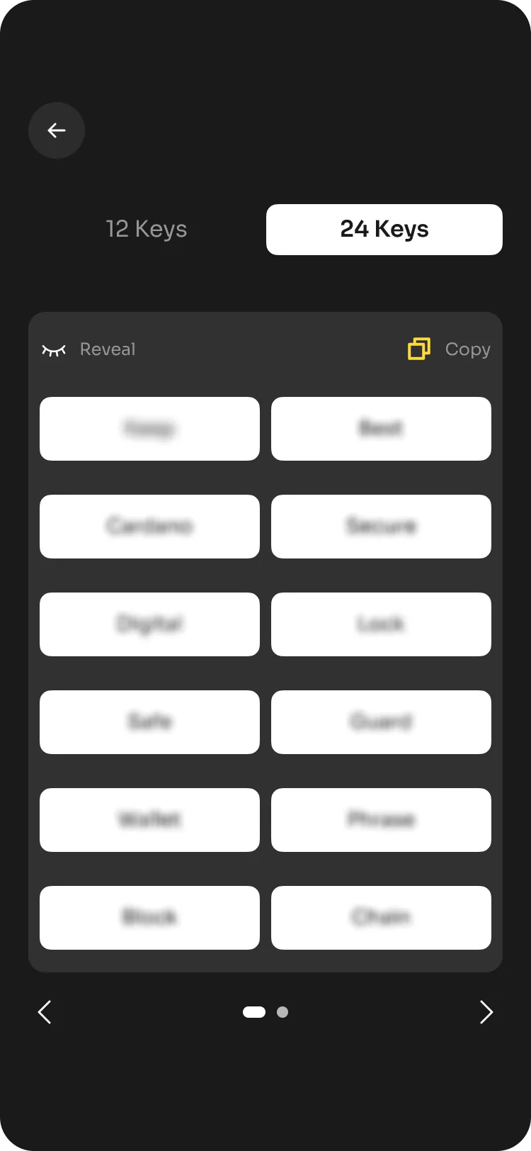 Twenty-four-key recovery phrase screen